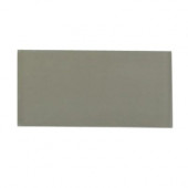 Contempo Natural White Polished Glass Tiles - 3 in. x 6 in. Tile Sample-DISCONTINUED