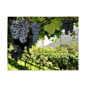 Vineyard4 18 in. x 24 in. Tumbled Marble Tiles (3 sq. ft. /case)