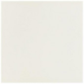 Stratos Atlas 24 in. x 24 in. Blanco Porcelain Floor and Wall Tile-DISCONTINUED