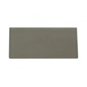 Contempo Natural White Frosted Glass Tile - 3 in. x 6 in. Tile Sample-DISCONTINUED