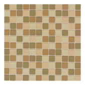 Maracas Desert Mirage Blend 12 in. x 12 in. x 8 mm Frosted Glass Mesh Mounted Mosaic Wall Tile-DISCONTINUED