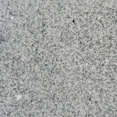 White Sparkle 12 in. x 12 in. Polished Granite Floor and Wall Tile (5 sq. ft. / case)