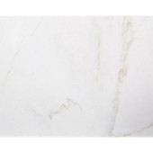 Carrara Blanco 16 in. x 16 in. Ceramic Floor and Wall Tile (14.22 sq. ft. per case)