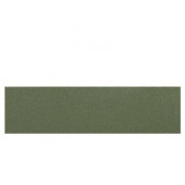 Colour Scheme Garden Spot Solid 3 in. x 12 in. Porcelain Bullnose Floor and Wall Tile-DISCONTINUED