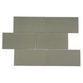 Contempo Natural White Polished 3 in. x 6 in. Glass Tiles-DISCONTINUED