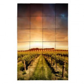 Vineyard2 24 in. x 36 in. Tumbled Marble Tiles (6 sq. ft. /case)