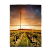 Vineyard2 24 in. x 18 in. Tumbled Marble Tiles (3 sq. ft. /case)