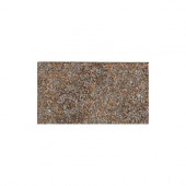 Castanea Porfido 2-1/2 in. x 5-1/4 in. Porcelain Floor and Wall Tile (8.01 sq. ft. / case)