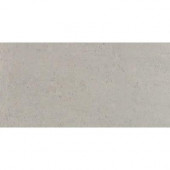 Orion Gris 12 in. x 24 in. Polished Porcelain Floor & Wall Tile-DISCONTINUED
