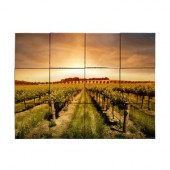 Vineyard2 18 in. x 24 in. Tumbled Marble Tiles (3 sq. ft. /case)