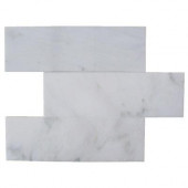 Oriental 4 in. x 12 in. x 8 mm Marble Floor and Wall Tile