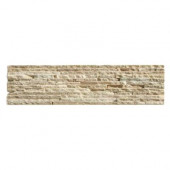 Portico Slate Baia 6 in. x 23-1/2 in. Natural Stone Wall Tile (5.88 sq. ft. / case)